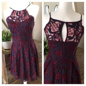 FRANCESCAS Lace Dress